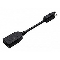 PNY DP to Mini Latching Cable
