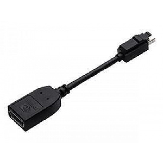 PNY DP to Mini Latching Cable