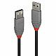 0.2M USB 2.0 TYP A KABEL ANTHRA LINE