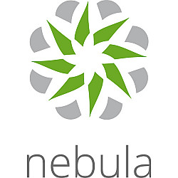 ZyXEL Nebula Professional Pack - Abonnement-Lizenz (1 Jahr)