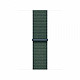 Apple Loop for Smartwatch 40 mm 130 200 mm Lake Green (MYJ93ZMA)