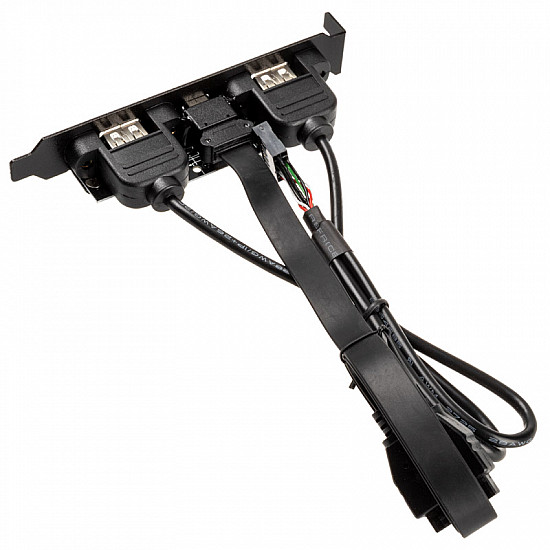 Akasa USB 3.1 Gen 1 internal adapter cable with dual USB 2.0 Type-A ports with full profile PCI bracket