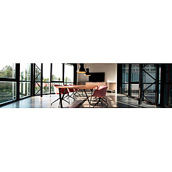 60,5cm/23,8'' (1920x1080) AOC 24E1Q 16:9 5ms IPS HDMI VGA DisplayPort VESA Speaker Full HD Black