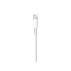 APPLE CABLE A2561 MM0A3ZM / A USB-C TO LIGHTNING 1M BULK ZW