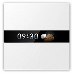 SMART HOME DISPLAY SWITCH V1/WS-K02D AQARA