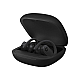 Beats Powerbeats Pro Totally Wireless Earphones Wireless In-ear Wireless Black