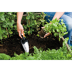 Blumenkelle Premium schwarz/orange, 9cm