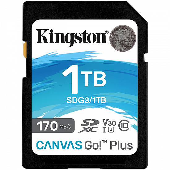 Canvas Go! Plus 1 TB SDXC, Speicherkarte schwarz, UHS-I U3, Class 10, V30