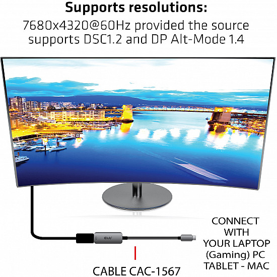 Adapter 24 pin USB-C Male input to 20 pin Display Port Female output 22 cm