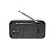 Inter Sales DENVER DAB-42 - Tragbares DAB-Radio - 1 Watt