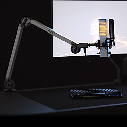 Endgame Gear MICARM + XSTRM USB Mikrofon - weiß