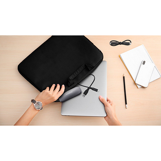 Exceria Plus Portable SSD 1 TB, Externe SSD grau, USB-C 3.2 Gen 2 (10 Gbit/s)