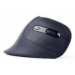 Gembird MUSW-ERGO-03 mouse Home Right-hand RF Wireless Optical 1600 DPI