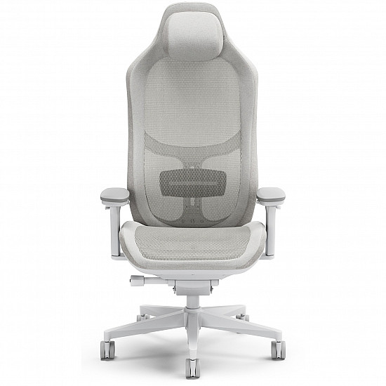 FD-CH-RE1M-02, PC gaming chair, 125 kg, upholstered seat, mesh backrest, 60 k
