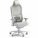 FD-CH-RE1M-02, PC gaming chair, 125 kg, upholstered seat, mesh backrest, 60 k
