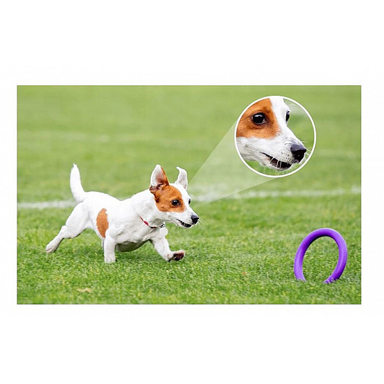 2in1 Bulb and 360° Outdoor Camera WiFi IMOU Bulb Cam 5MP