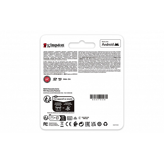 Canvas Go! Plus 1 TB microSDXC, Speicherkarte schwarz, UHS-I U3, Class 10, V30, A2