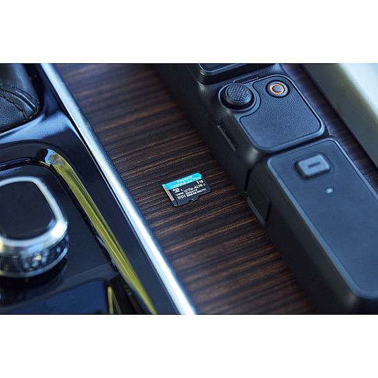 Canvas Go! Plus 1 TB microSDXC, Speicherkarte schwarz, UHS-I U3, Class 10, V30, A2