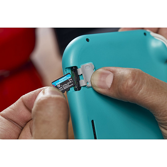 Canvas Go! Plus 1 TB microSDXC, Speicherkarte schwarz, UHS-I U3, Class 10, V30, A2