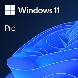 Windows 11 Pro , Betriebssystem-Software