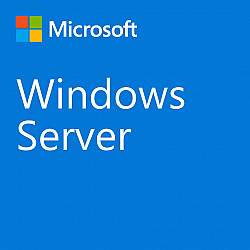 Microsoft Windows Server CAL 2022 Client Access License (CAL) 1 license(s)