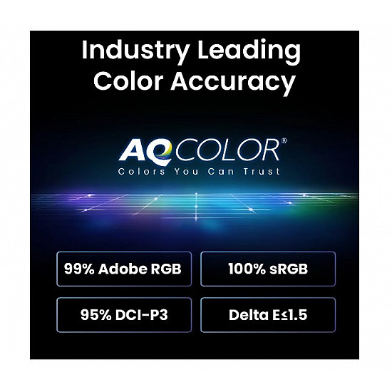 BenQ 61.2cm SW242Q 16 10 HDMI/DP sb.lift/pivot spk. WQXGA - Flachbildschirm (TFT/LCD)