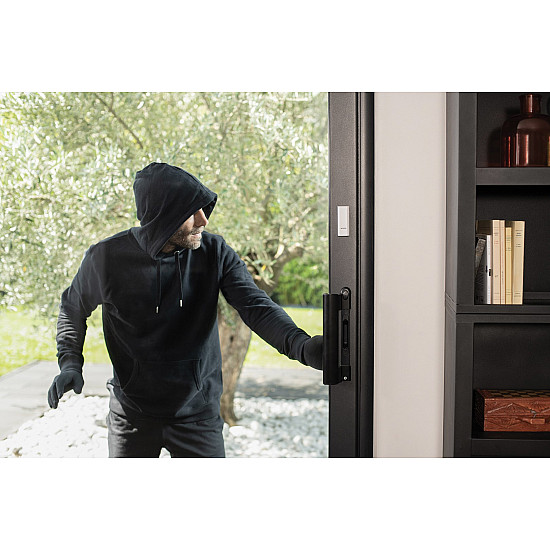 Netatmo DTG-EC door/window sensor Wireless Door/Window White