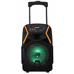 Portable speaker Bluetooth APS22