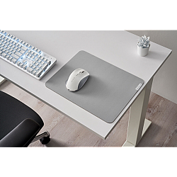 Razer PRO GLIDE gaming mouse pad gray (RZ02-03331500-R3M1)