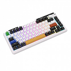 Royal Kludge KZZI K75 pro RGB wireless mechanical keyboard, Moment Switch (black and white) (QWERTY)
