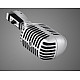Shure 55SH - Studio-Mikrofon - 50 - 15000 Hz - 150 Ohm - Superkardioid - Kabelgebunden - Grau