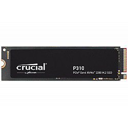 SSD diskas P310 1TB M.2 NVMe PCIe 4.0 2280, 7100MB/s, 6000MB/s