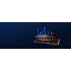 SSD diskas Kingston 2TB M.2 PCIe 4.0 NVMe SKC3000D/2048G