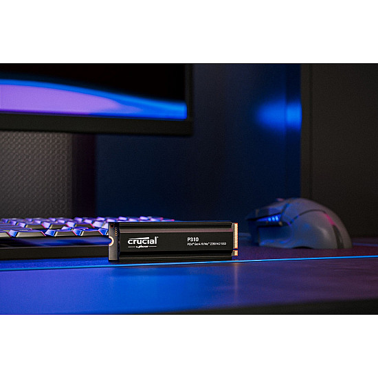 P310 CT1000P310SSD5 SSD diskas su PCIe 4.0, 1TB, M.2 2280 2025