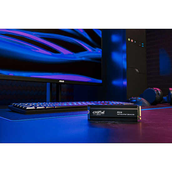 P310 CT1000P310SSD5 SSD diskas su PCIe 4.0, 1TB, M.2 2280 2025