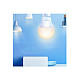 Smart Light Bulb TP-LINK Power consumption 8.7 Watts Luminous flux 806 Lumen 2700 K 220-240 V Beam angle 220 degrees TAPOL510E