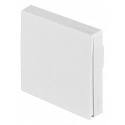 TP-LINK TPLINK Smart Light single Switch TAPO S210 (TAPO S210)