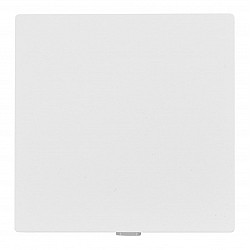 TP-LINK TPLINK Smart Light single Switch TAPO S210 (TAPO S210)