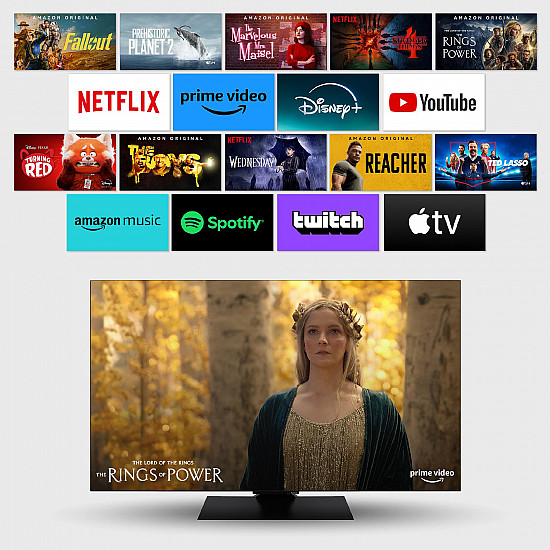 TV Set PANASONIC 55 OLED/4K/Smart 3840x2160 Wireless LAN Bluetooth Google TV TV-55Z80AEZ