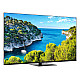 TV Set THOMSON 43 4K Ultra HD 3840 x 2160 pixels Flat 16:9 LCD 43UG5C14