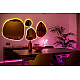 Twinkly Dots Smart LED Lights 60 RGB (Multicolor), USB Powered, 3m, Transparent RGB – 16M+ colors