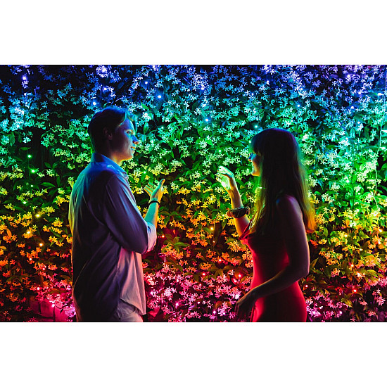 Twinkly Strings Smart LED Lights 100 RGB (Multicolor), 8m, Black wire RGB – 16M+ colors