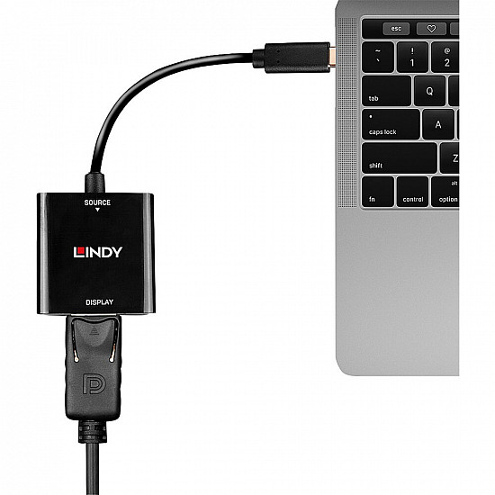 USB Konverter, USB-C Stecker > DisplayPort Buchse schwarz, 21cm, 4K 144Hz