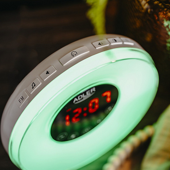 Wake-Up Light Alarm AD1916