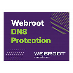 Webroot | DNS Protection with GSM Console | 1 year(s) | License quantity 10-99 user(s)