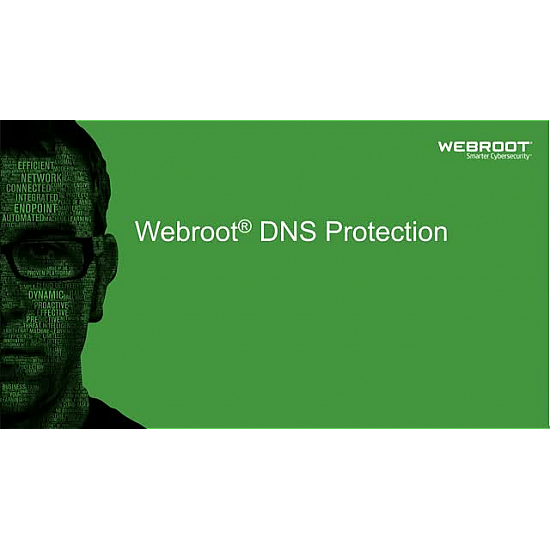 Webroot | DNS Protection with GSM Console | 1 year(s) | License quantity 1-9 user(s)