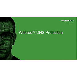 Webroot | DNS Protection with GSM Console | 2 year(s) | License quantity 10-99 user(s)