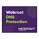Webroot | DNS Protection with GSM Console | 2 year(s) | License quantity 1-9 user(s)