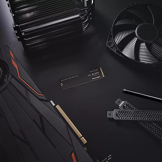 Western Digital WDS200T3X0E SSD diskas su 2TB talpa, PCIe 4.0 sąsaja, M.2 formatas 2025