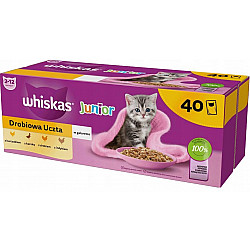 WHISKAS Junior Poultry in jelly - wet cat food - 40 x 85g